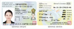 운전면허증 견본사진